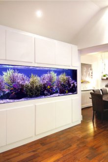 Направи си аквариум в трапезарията