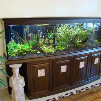 Направи си аквариум на пиедестала