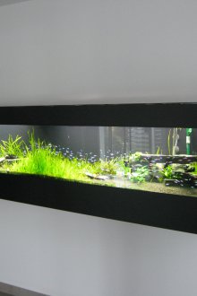 Направи си сам тесен аквариум