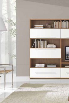 Стена в хола под телевизора