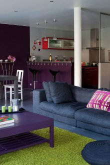 Преграда между кухнята и хола в студиото