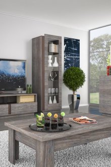 Сив шкаф в хола