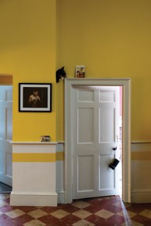 Стенни панели за коридора жълти