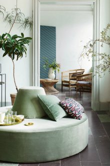 Маслинов осман в интериора