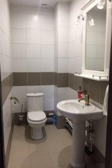 Tile for toilet two-tone