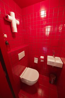 Toilet tile red