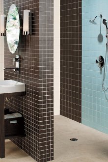 Tile for finishing the toilet