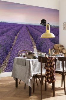 Fototapete Lavendel