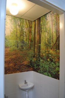 Fototapete in der Toilette