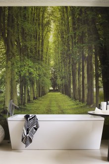 Fototapete Wald im Badezimmer