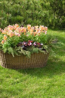 Подвижна цветна леха в кошница