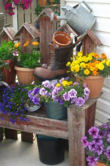 Красиви саксийни цветя