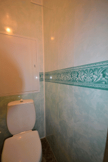 Ремонт на тоалетната със зелени панели