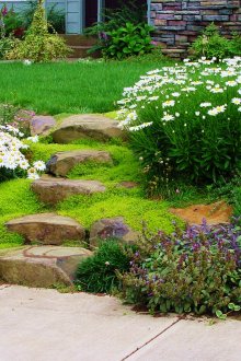 Красиви каменни стълбища и цветни лехи