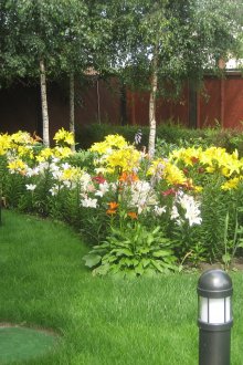 Красиво цветно легло на парцела