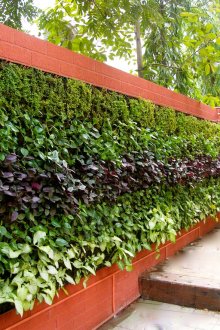 Вертикално цветно легло