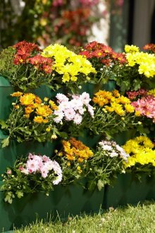 Вертикално малко цветно легло