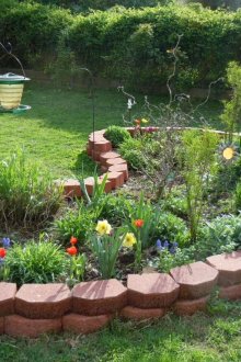 Красиви цветя в цветното легло