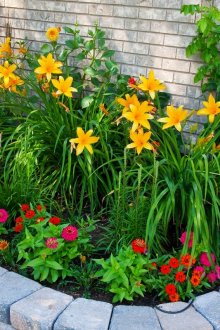 Каменна цветна леха