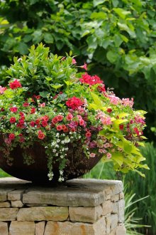 Красиви цветя в полукръгла купа