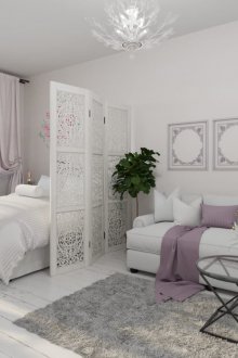 Two-room odnushka with a screen