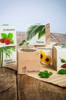 Hadiah mesra alam untuk 8 Mac