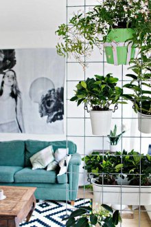 Partition Zoning Ideen mit Blumen