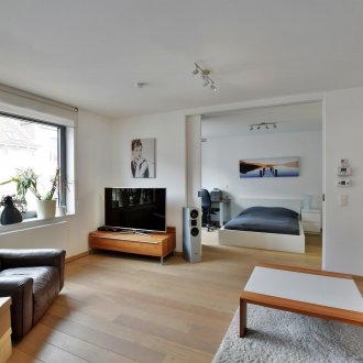 Gaya pangsapuri satu bilik