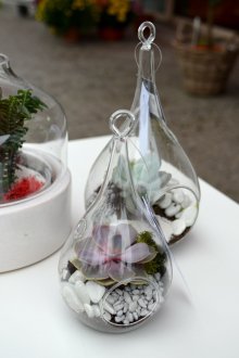 Бял флорариум