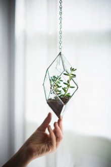 Флорариум на верига