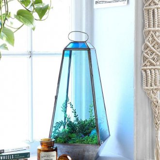 Цвят на флорариум