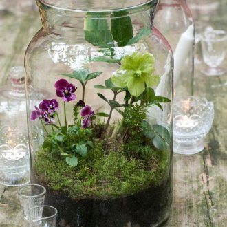 Флорариум с цъфтящи растения