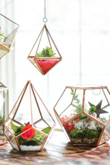 Флорариумът е декоративен