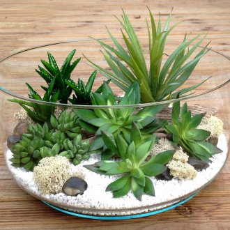 Флорариум Дизайн