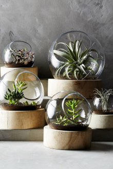 Екологичен Флорариум