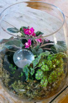 Флорариум с теменужки