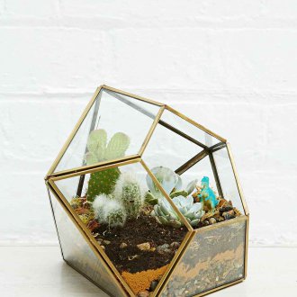 Геометричен флорариум от стъкло