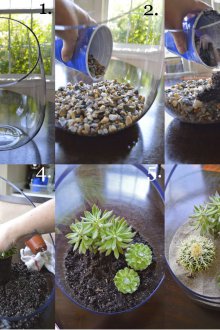 Инструкция за флорариум