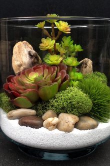 Флорариум с камъни