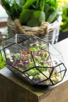 Флорариев състав