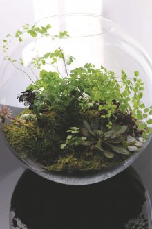 Флорариум кръг