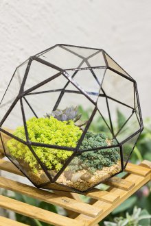 Флорариумът е многостранен