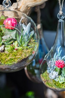 Флорариум на открито