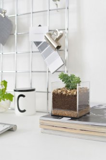 Флорариум прост