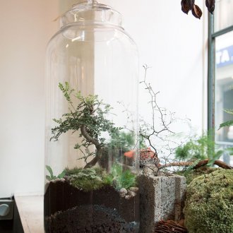 Флорариум как се прави