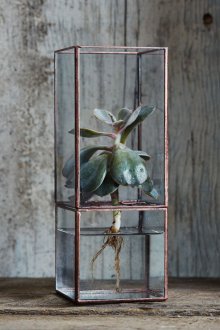 Флорариум с вода