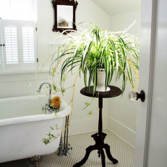 Дървена стойка