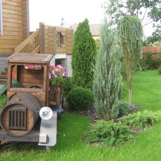 Дизайн на сайта от иглолистни растения и декорации