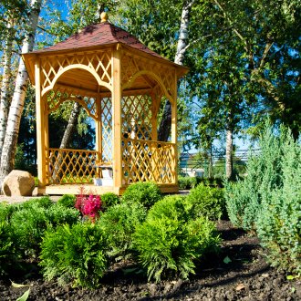 Иглолистни дървета около беседката на парцела