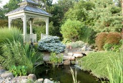 Komposisi konifer yang indah di taman dengan gazebo gaya Cina